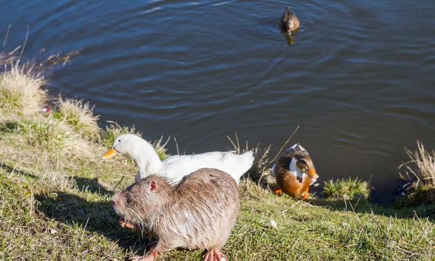 哪一句话第一次读，你立刻被惊艳到？ 知乎