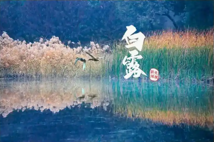 1731986493346164.png image.png