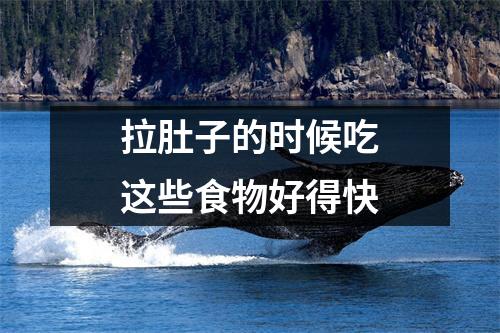 拉肚子的时候吃这些食物好得快