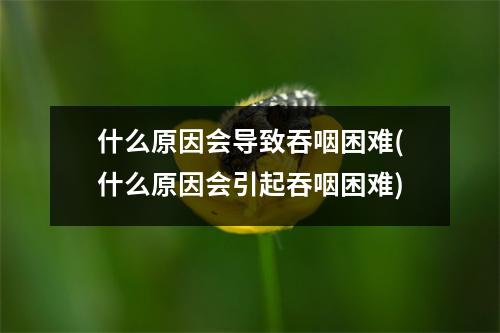 什么原因会导致吞咽困难(什么原因会引起吞咽困难)