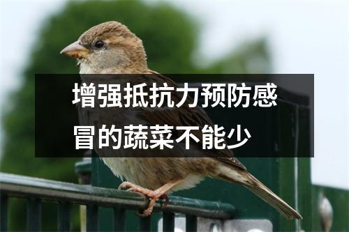 增强抵抗力预防感冒的蔬菜不能少