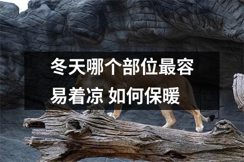 冬天哪个部位最容易着凉 如何保暖