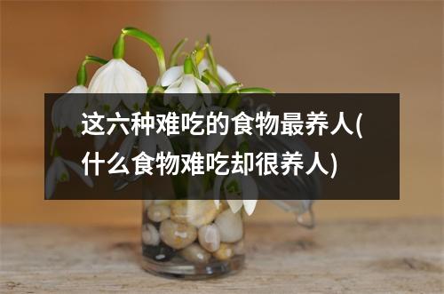 这六种难吃的食物最养人(什么食物难吃却很养人)