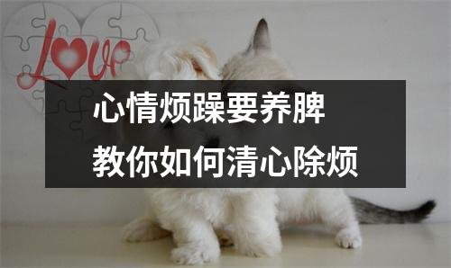 心情烦躁要养脾 教你如何清心除烦