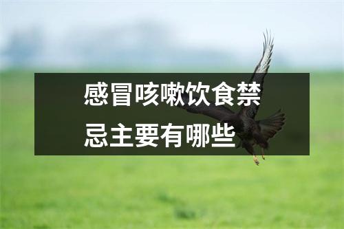 感冒咳嗽饮食禁忌主要有哪些