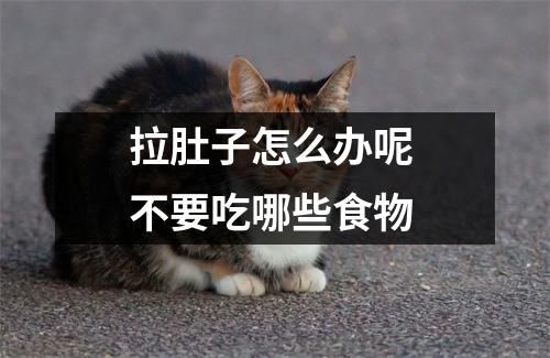 拉肚子怎么办呢 不要吃哪些食物