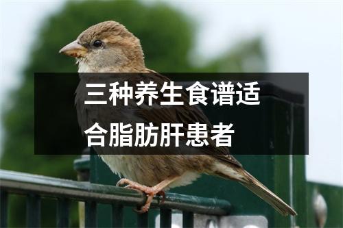 三种养生食谱适合脂肪肝患者