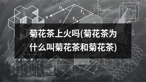 菊花茶上火吗(菊花茶为什么叫菊花茶和菊花茶)