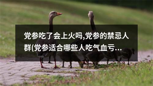 党参吃了会上火吗,党参的禁忌人群(党参适合哪些人吃气血亏虚)