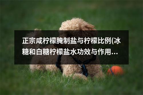 正宗咸柠檬腌制盐与柠檬比例(冰糖和白糖柠檬盐水功效与作用)