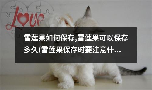 雪莲果如何保存,雪莲果可以保存多久(雪莲果保存时要注意什么)