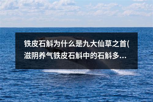 <a href=https://www.zxzidian.com/yuansuzhouqibiao/e7d52c8385edf2b1355d03ef8c4450bf.html target=_blank class=infotextkey>铁</a>皮石斛为什么是九大仙草之首(滋阴养气<a href=https://www.zxzidian.com/yuansuzhouqibiao/e7d52c8385edf2b1355d03ef8c4450bf.html target=_blank class=infotextkey>铁</a>皮石斛中的石斛多糖可以增加体内细胞活力)