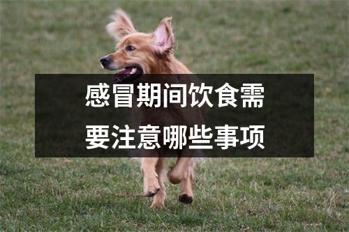 感冒期间饮食需要注意哪些事项