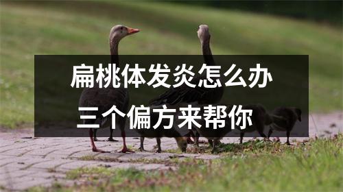 扁桃体发炎怎么办 三个偏方来帮你