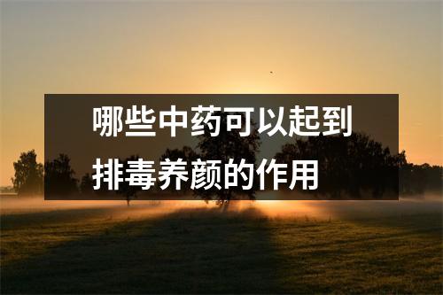 哪些中(yào)可以起到排(dú)养颜的作用