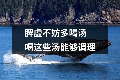 脾虚不妨多喝汤 喝这些汤能够调理