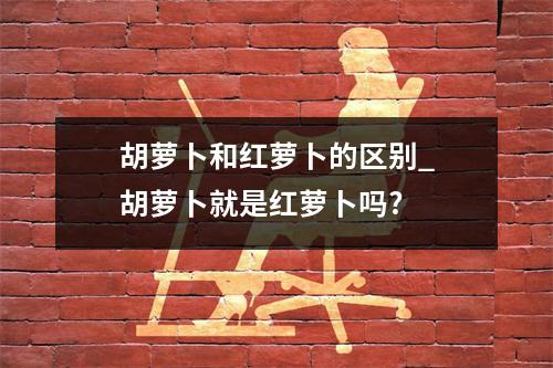 胡萝卜和红萝卜的区别_胡萝卜就是红萝卜吗?