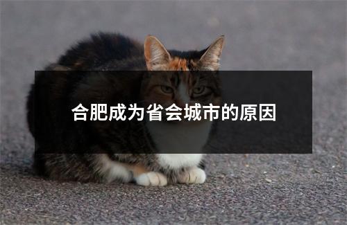 合肥成为省会城市的原因