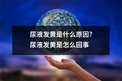 尿液发黄是什么原因?尿液发黄是怎么回事