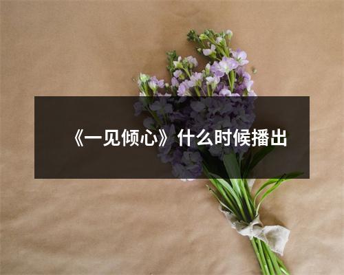 《一见倾心》什么时候播出