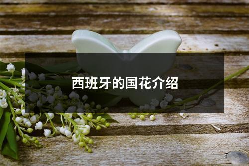 西班牙的国花介绍