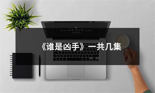 《谁是凶手》一共几集