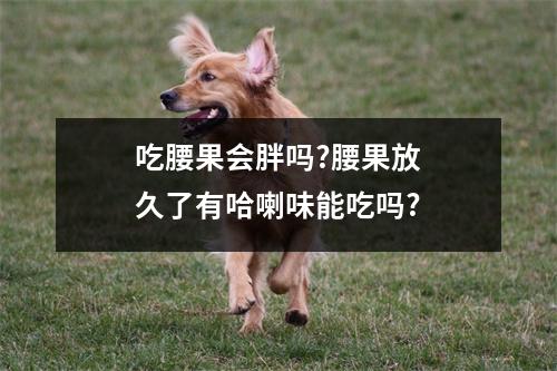 吃腰果会胖吗?腰果放久了有哈喇味能吃吗?