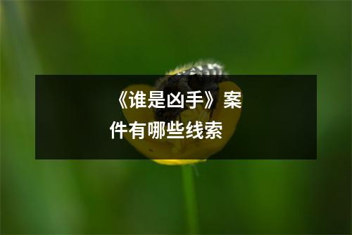 《谁是凶手》案件有哪些线索