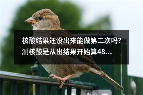 核酸结果还没出来能做第二次吗?测核酸是从出结果开始算48小时吗?