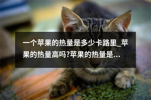一个苹果的热量是多少卡路里_苹果的热量高吗?苹果的热量是多少