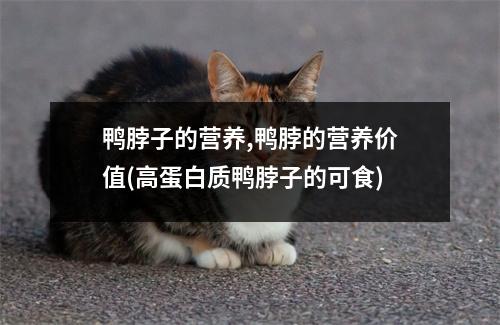 鸭脖子的营养,鸭脖的营养价值(高蛋白质鸭脖子的可食)