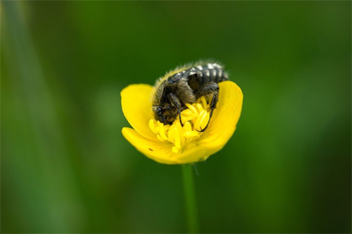 有哪些有关友情的词语 有哪些有关友情的词语和句子