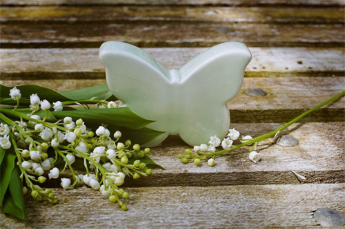 凤凰公园最稀有的十种老虎（亚洲第一高富帅）(凤凰公园长什么样)