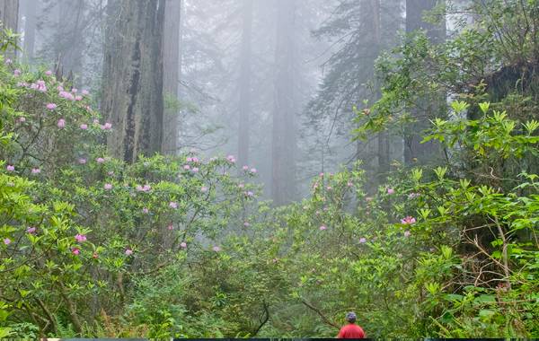 重阳节送爸妈什么礼物最贴心呢（给爸妈送一份节日）/重阳节送爸妈什么