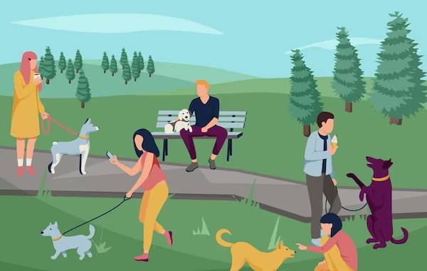 微信爱情语录大全（微信优美爱情告白句子）