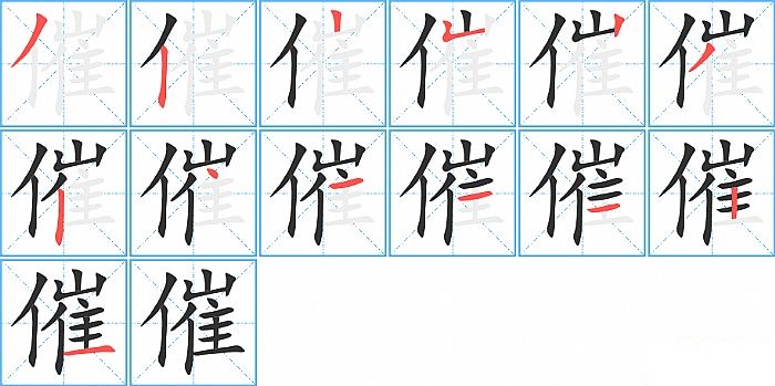 催的笔顺分步演示图