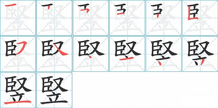 竪的笔顺分步演示图