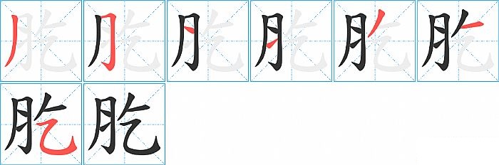 肐的笔顺分步演示图