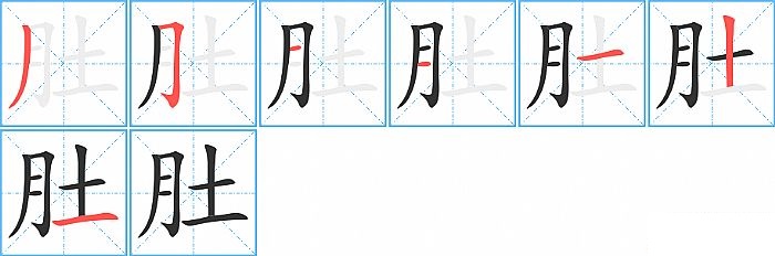 肚的笔顺分步演示图