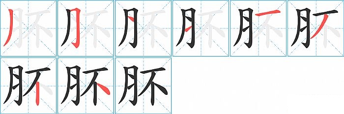 肧的笔顺分步演示图