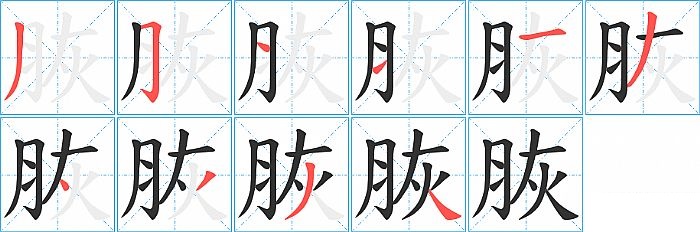 脄的笔顺分步演示图