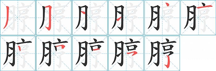 脝的笔顺分步演示图
