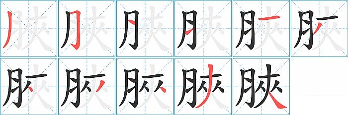 脥的笔顺分步演示图