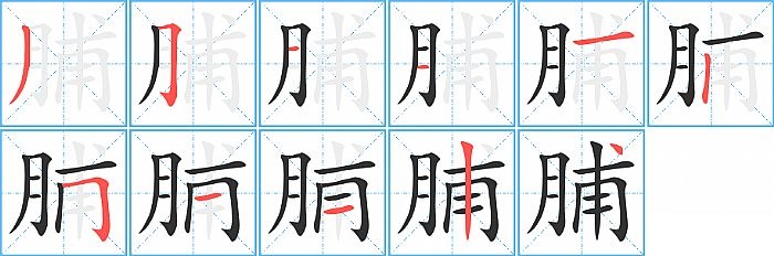 脯的笔顺分步演示图