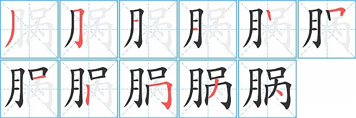 脶的笔顺分步演示图