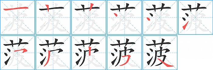 菠的笔顺分步演示图