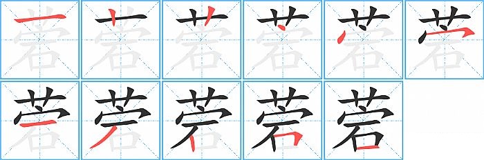 菪的笔顺分步演示图