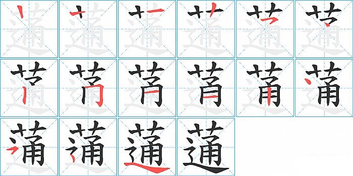 蓪的笔顺分步演示图