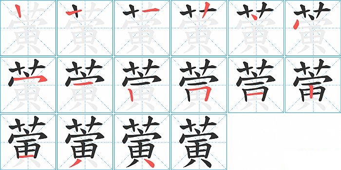 蔩的笔顺分步演示图