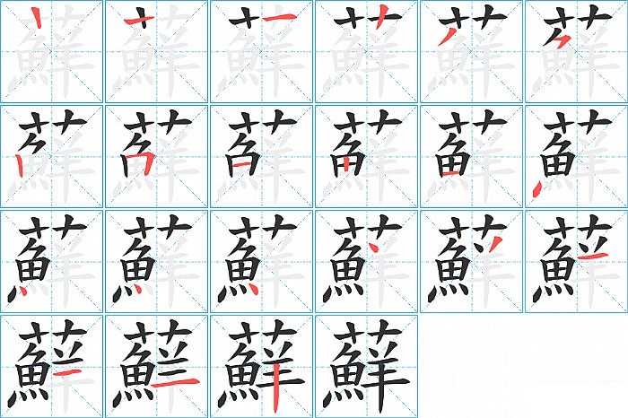 蘚的笔顺分步演示图